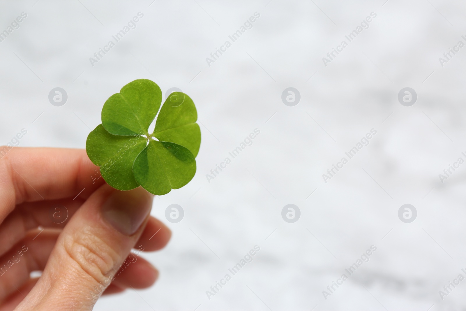 Photo of Woman holding green four leaf clover at white marble table, closeup. Space for text