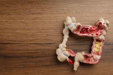Photo of Human colon model on wooden table, top view. Space for text