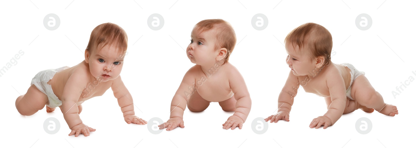 Image of Collage with photos cute little baby crawling on white background. Banner design