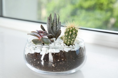 Photo of Glass florarium with different succulents on windowsill