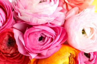 Photo of Bouquet of beautiful ranunculus flowers, closeup view