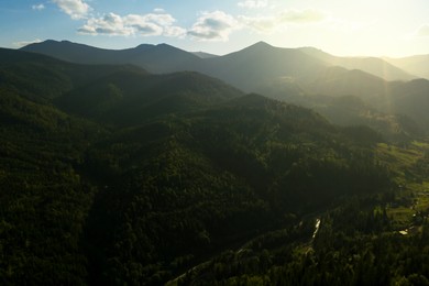 Aerial view of beautiful mountain landscape with forest on sunny day. Drone photography