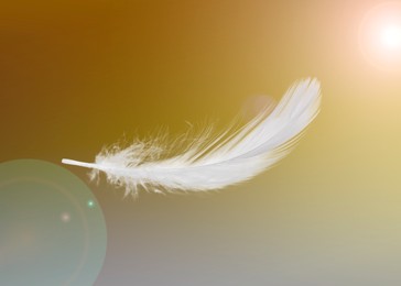 Image of Fluffy bird feathers falling on golden background
