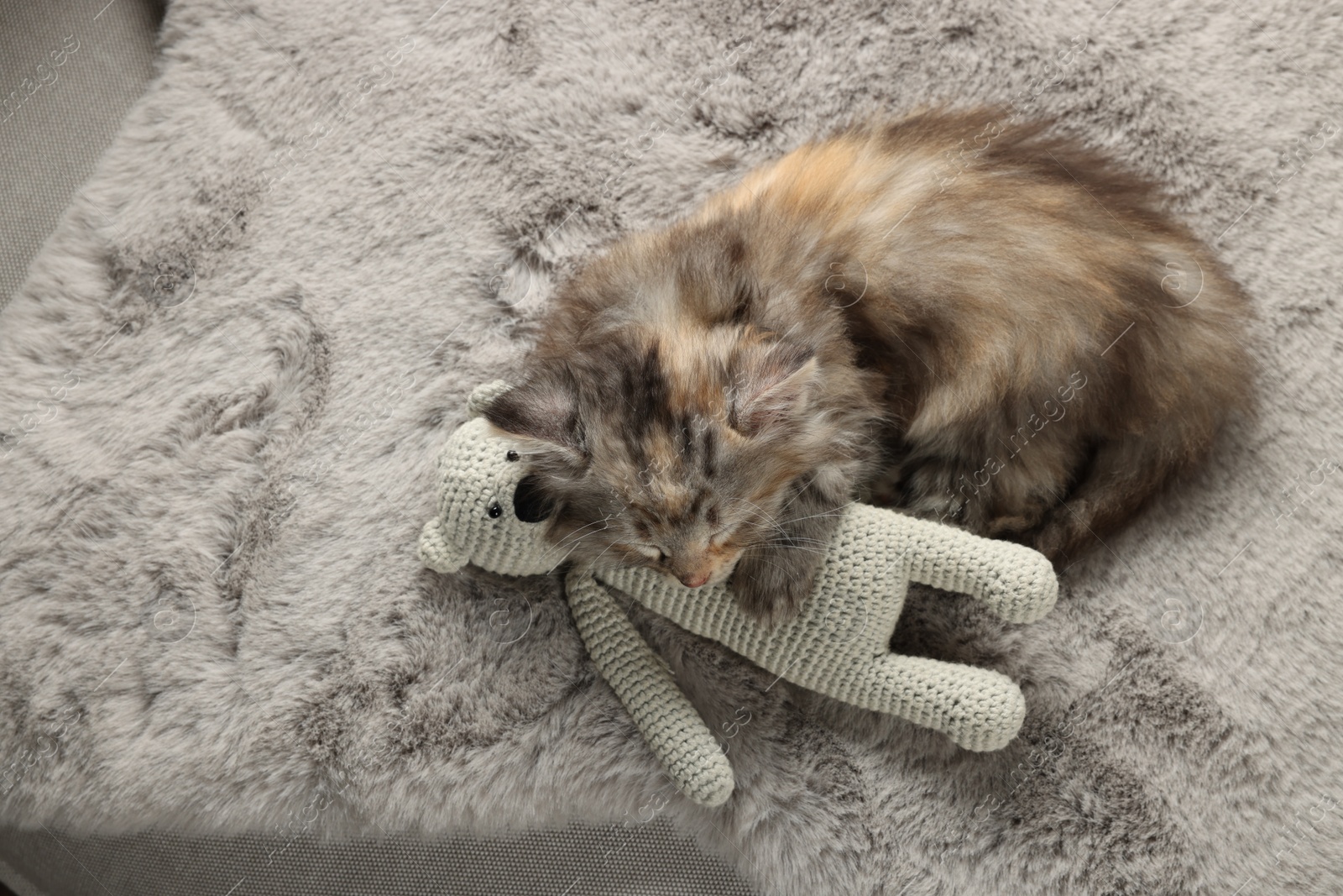 Photo of Cute kitten sleeping with toy on fuzzy grey blanket, top view