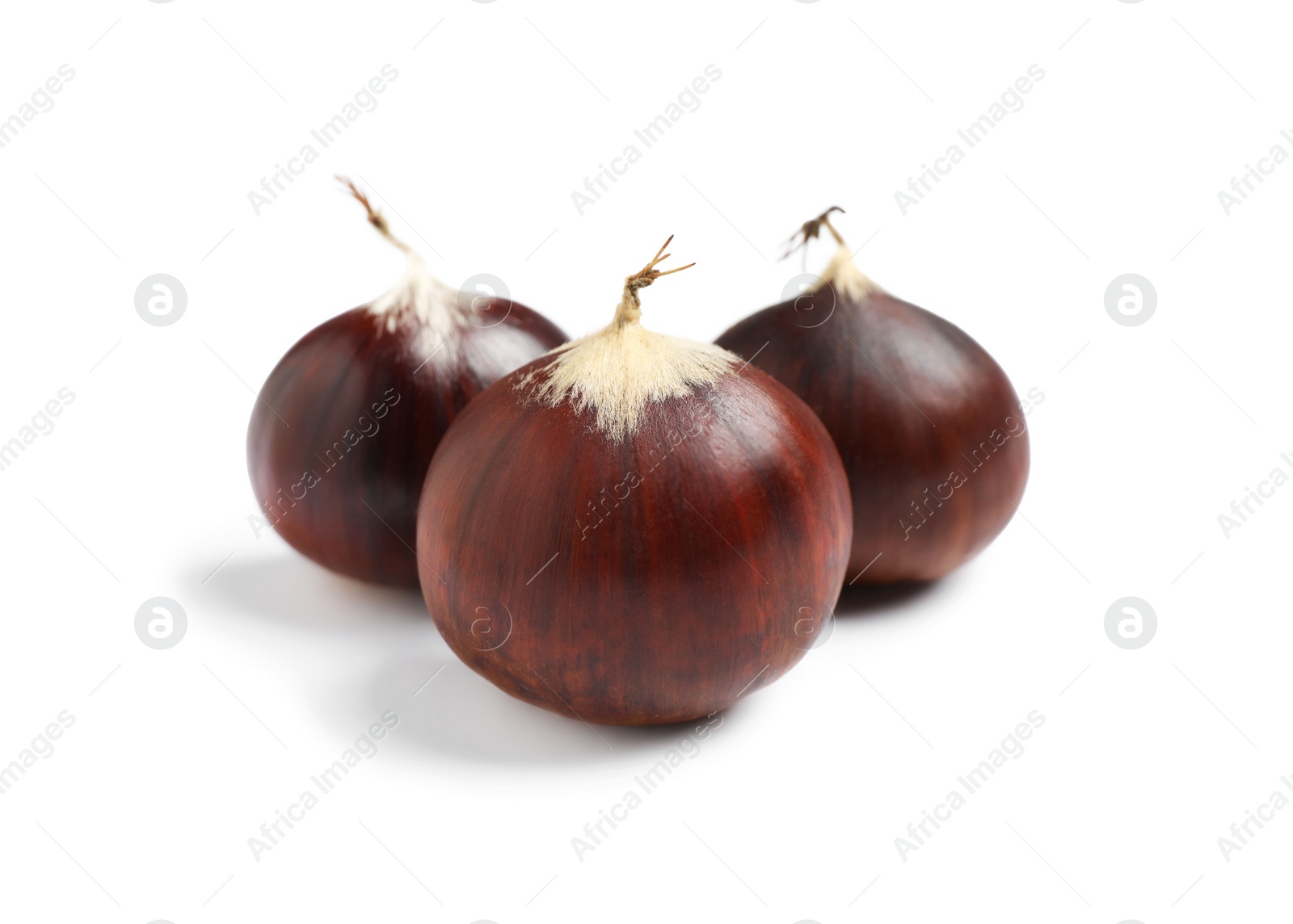 Photo of Fresh sweet edible chestnuts on white background