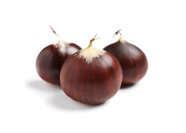 Fresh sweet edible chestnuts on white background