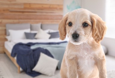 Image of Adorable puppy in bedroom, space for text. Pet friendly hotel