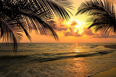 Image of Picturesque view of tropical beach with palm trees at sunset