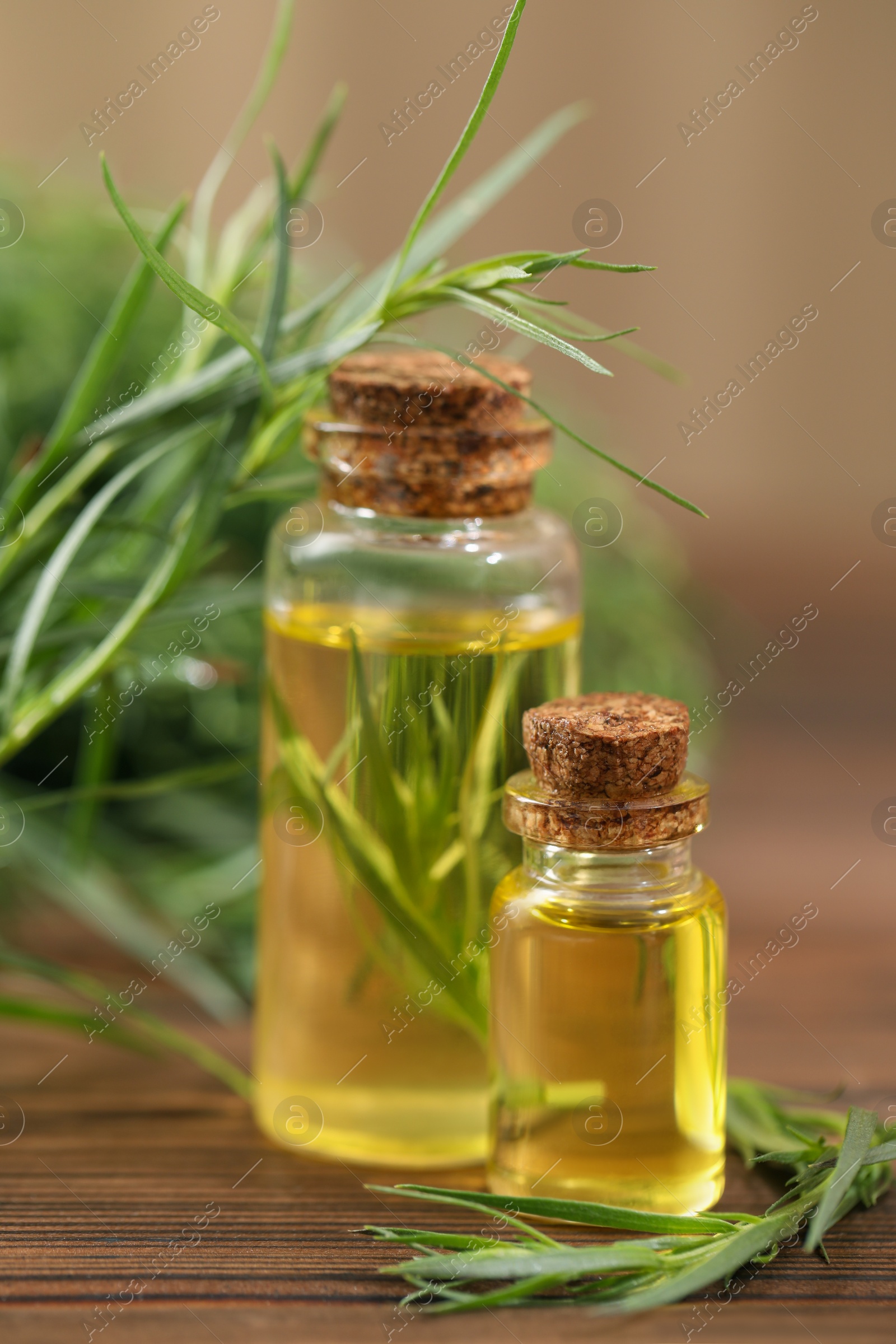 Photo of Bottles of essential oil and fresh tarragon leaves on wooden table