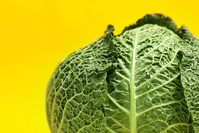 Photo of Fresh green savoy cabbage on color background