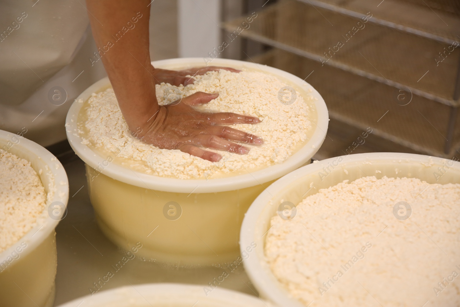 Photo of Worker pressing curd into mould at cheese factory, closeup