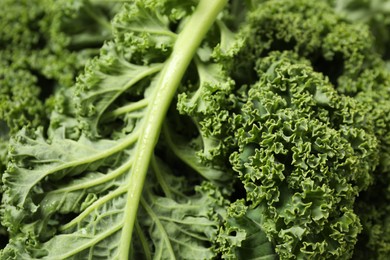 Fresh wet kale leaves as background, closeup