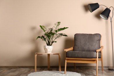 Photo of Stylish room interior with comfortable armchair, floor lamp and plant near color wall
