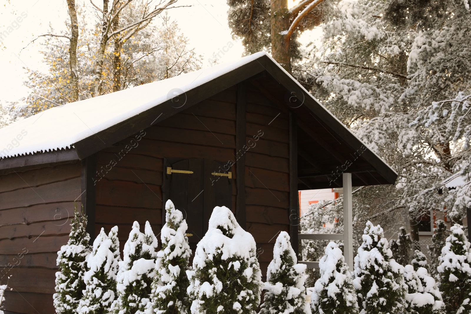 Photo of Wooden house, trees and bushes in winter morning