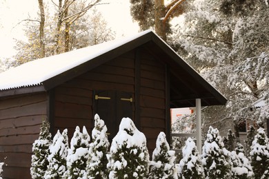 Wooden house, trees and bushes in winter morning