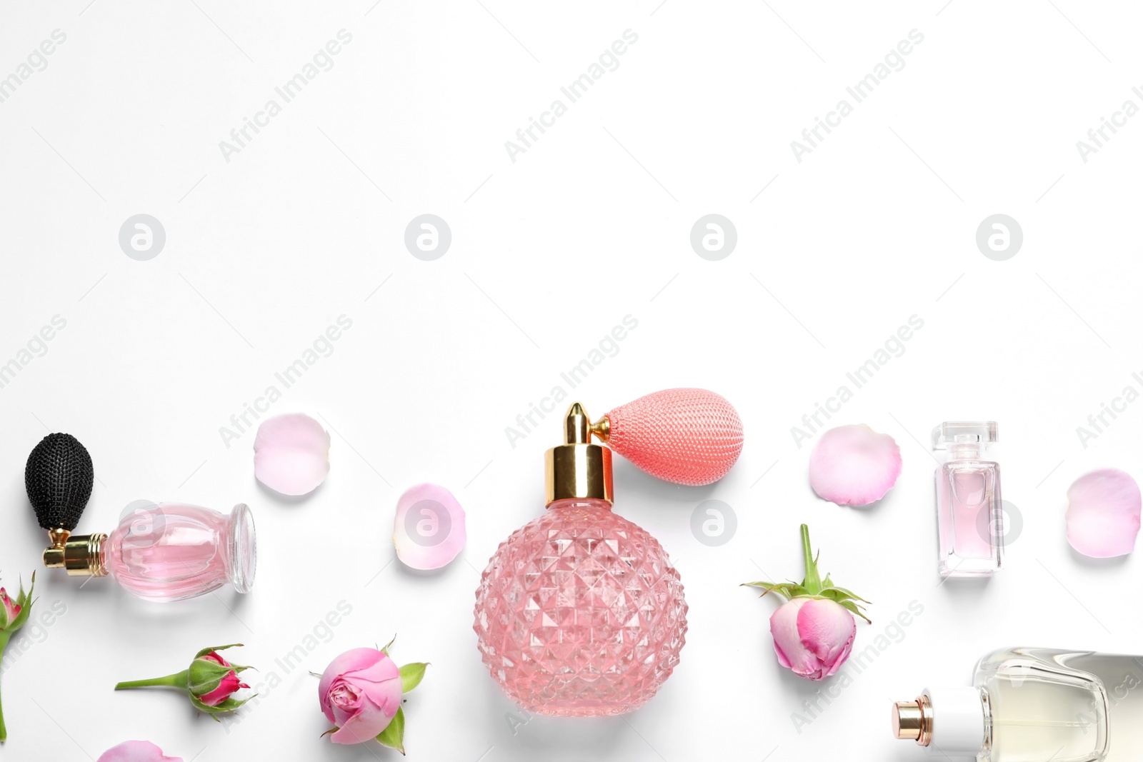 Photo of Different perfume bottles and flowers on white background, top view