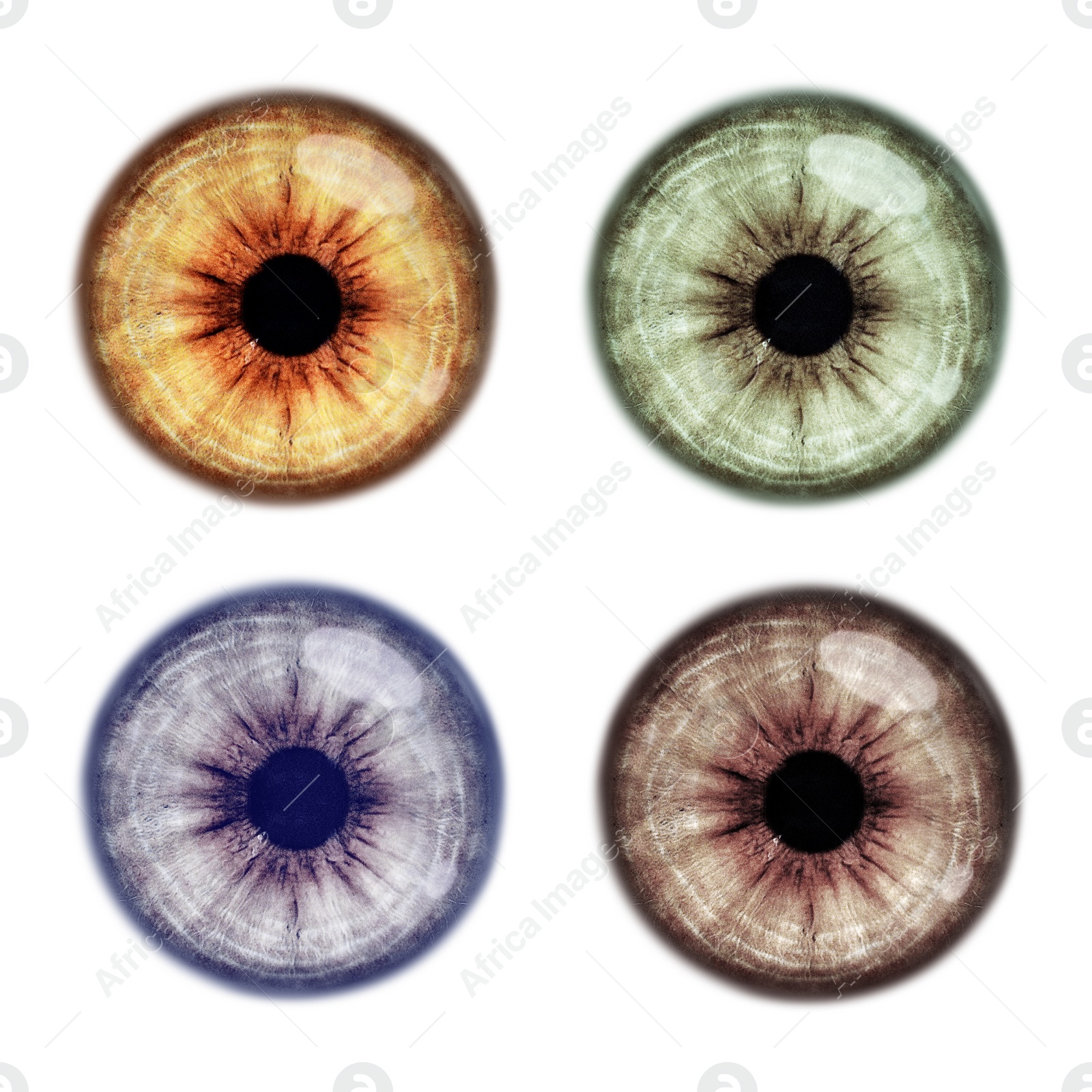 Image of Set with different color eyes on white background