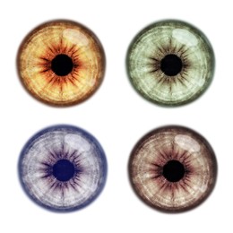 Image of Set with different color eyes on white background