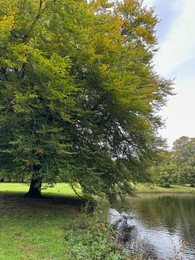 Photo of Beautiful pond and trees in autumn park