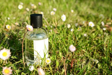 Bottle of perfume on green grass outdoors on sunny day