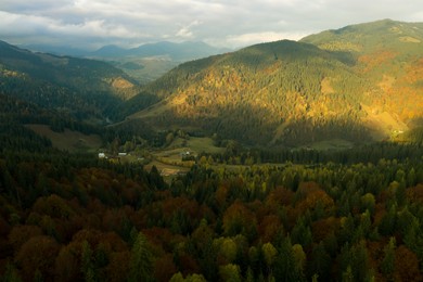 Image of Aerial view of beautiful mountain landscape with forest on sunny day