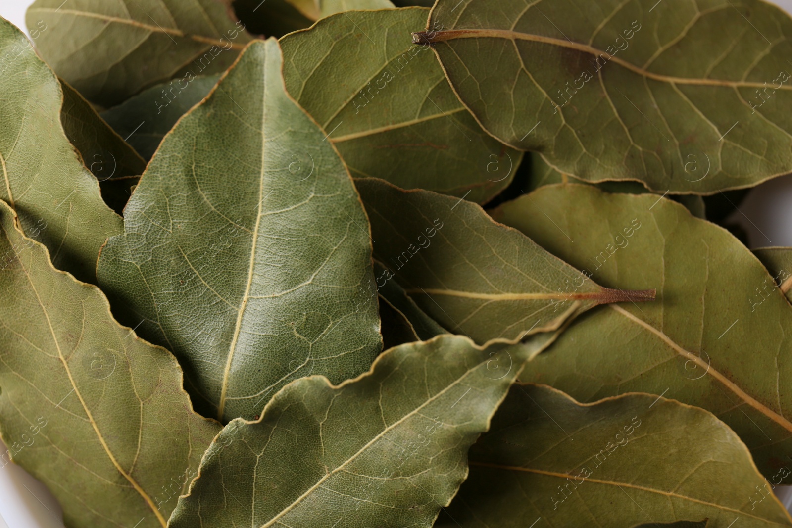 Photo of Pile of aromatic bay leaves as background, closeup