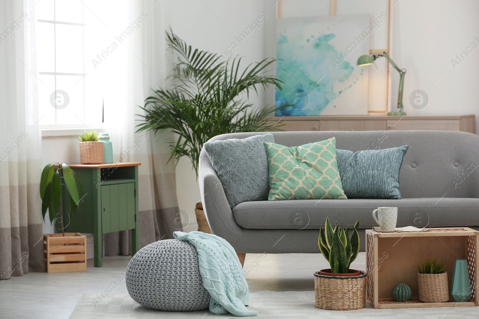 Photo of Living room interior with green houseplants and sofa