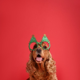 Adorable Cocker Spaniel dog in party glasses on red background, space for text