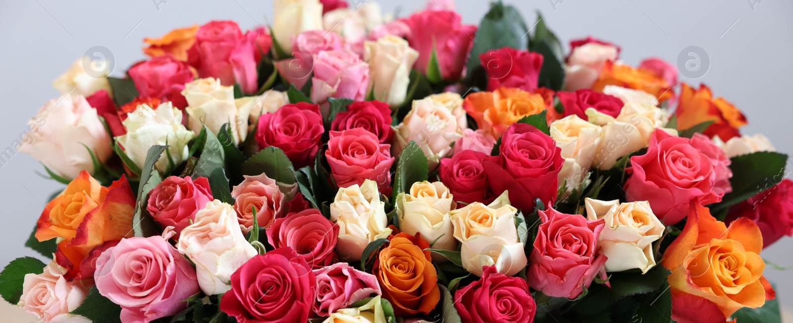 Photo of Bouquet of beautiful roses on light background