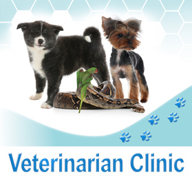 Image of Group of different pets and text Veterinarian Clinic on white background
