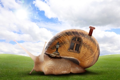 Fantasy world. Magic snail with its shell house moving on green meadow