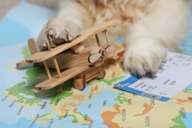 Photo of Dog lying near toy airplane and ticket on world map, closeup. Travelling with pet