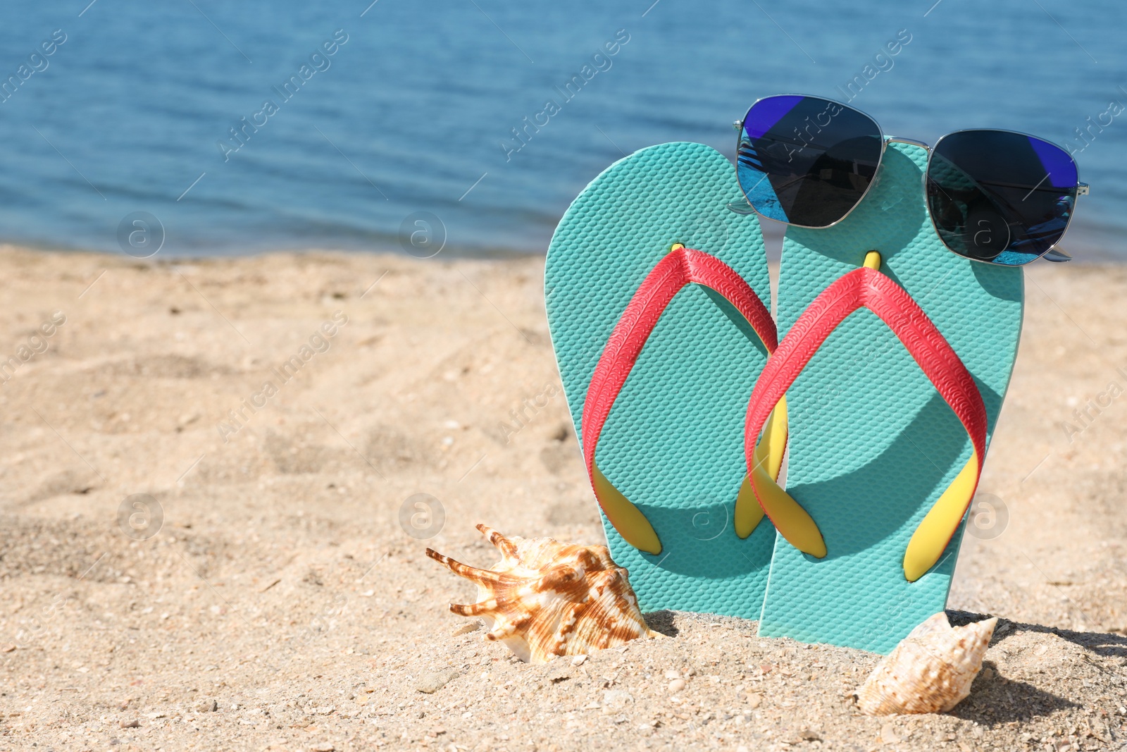 Photo of Stylish flip flops, sunglasses and seashells on sandy beach, space for text