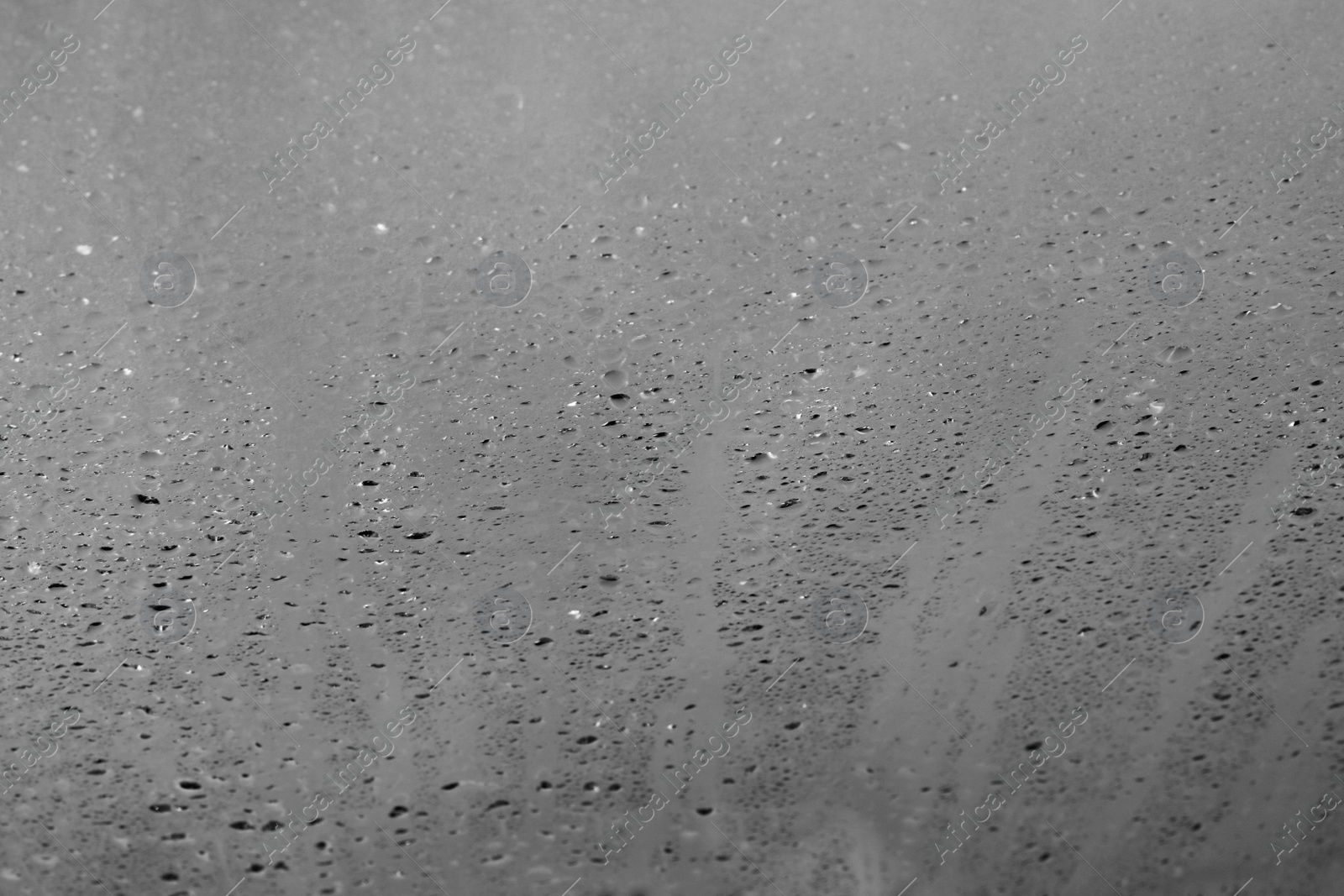 Photo of Glass with rain drops against light background