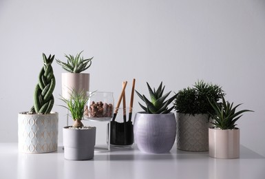 Beautiful houseplants and gardening tools on white table