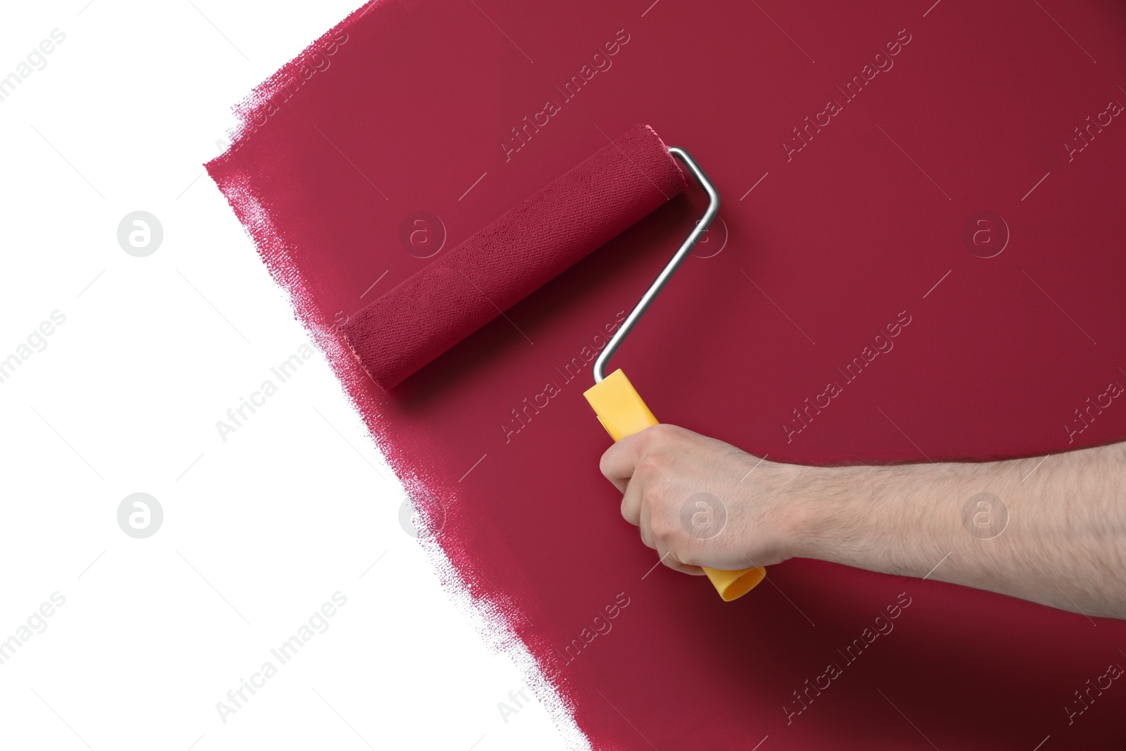 Photo of Man applying burgundy paint with roller brush on white wall, closeup