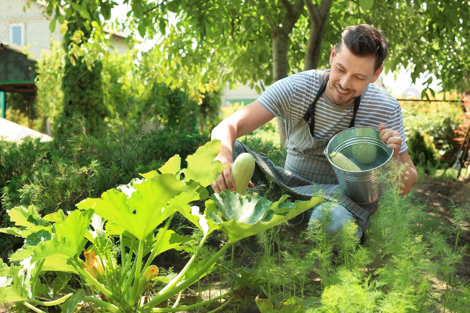 Photo of Man working in garden on sunny day