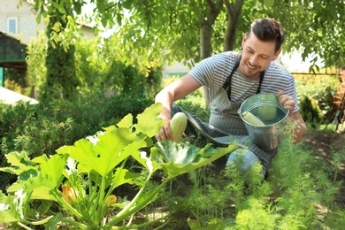 Photo of Man working in garden on sunny day