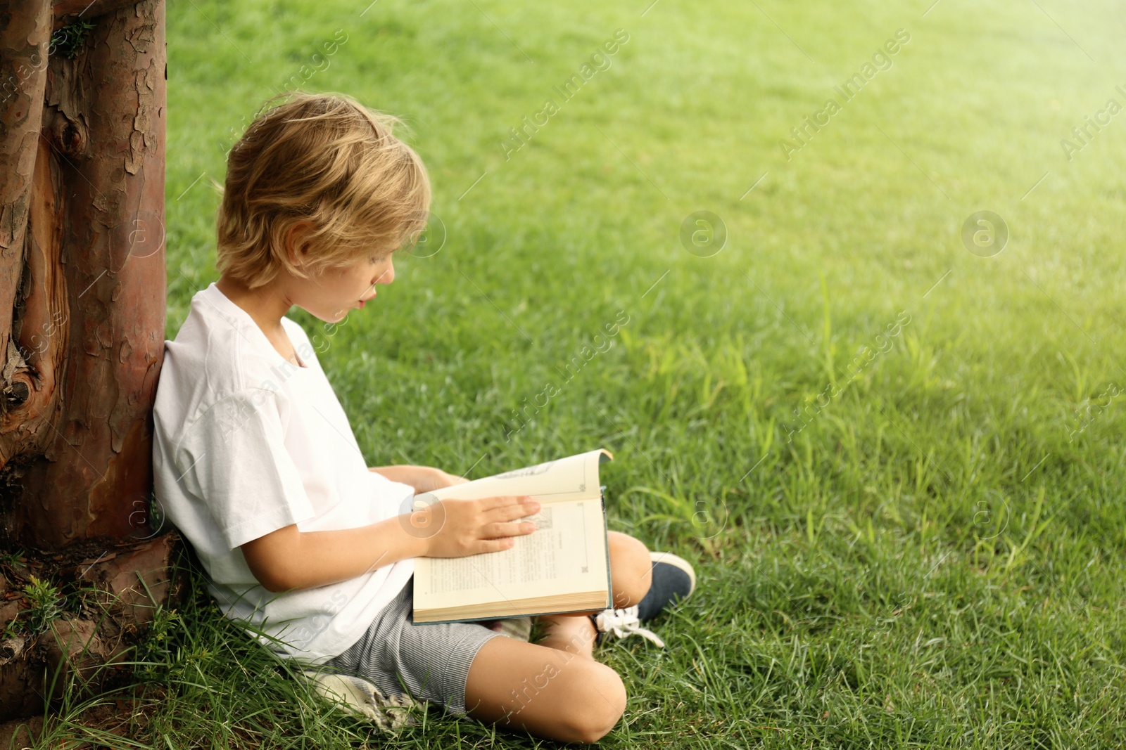 Photo of Cute little boy reading book on green grass near tree in park