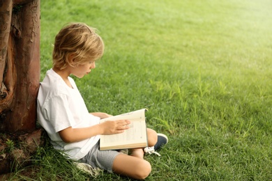 Cute little boy reading book on green grass near tree in park