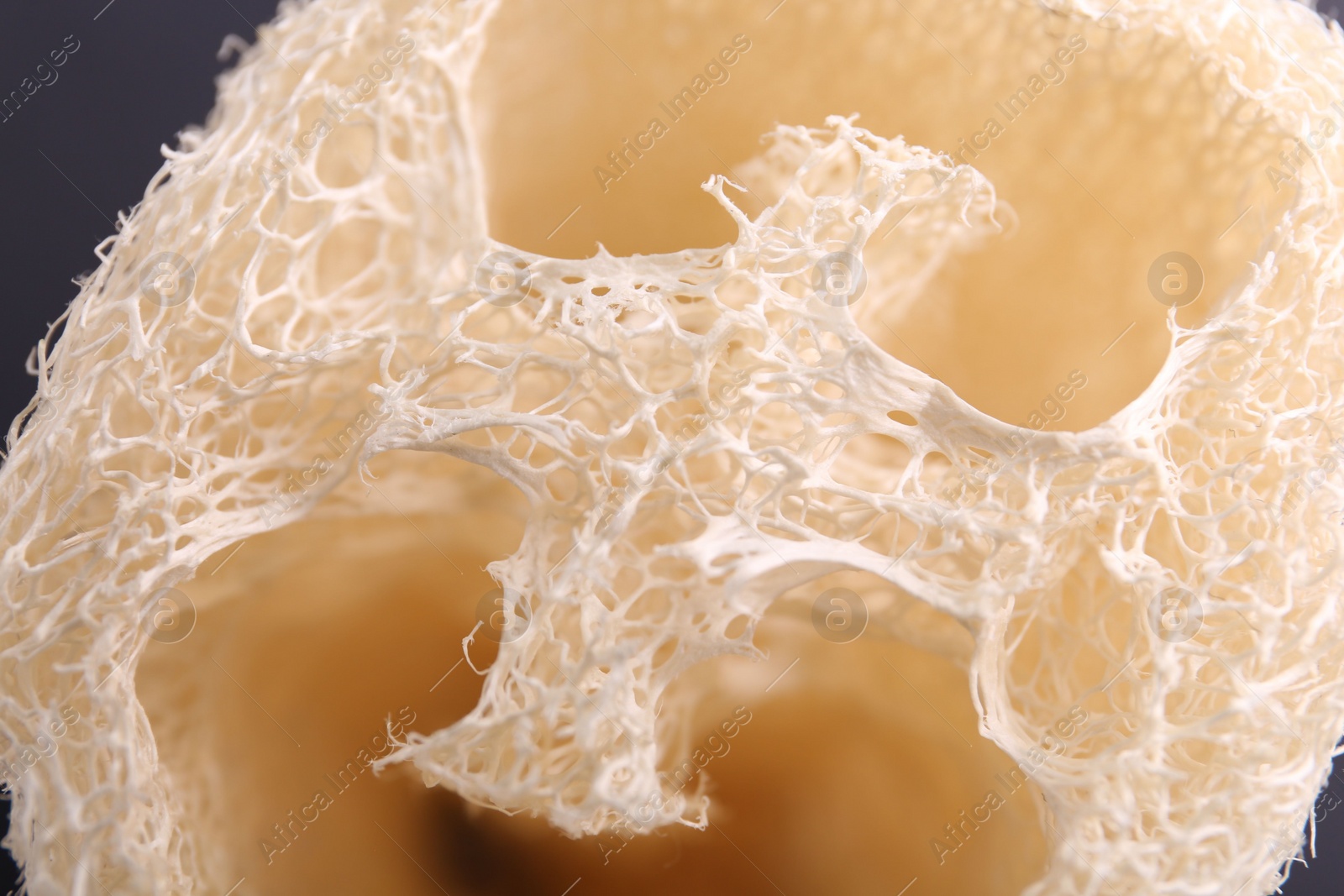 Photo of Natural loofah sponge as background, closeup view