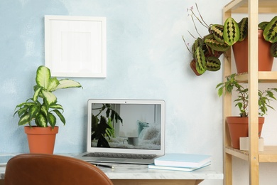 Photo of Houseplants and laptop on table in office interior