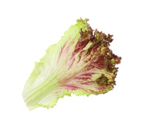 Photo of Leaf of fresh red coral lettuce isolated on white