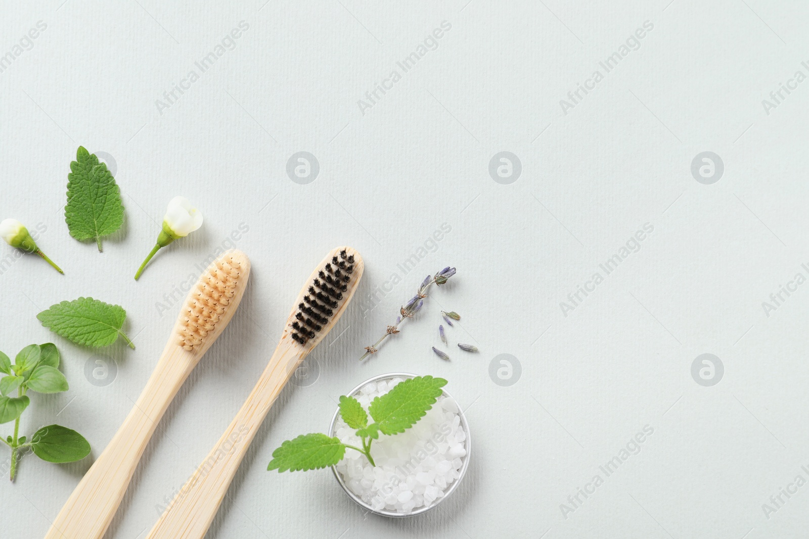 Photo of Flat lay composition with toothbrushes and herbs on white background. Space for text