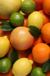 Different fresh citrus fruits and leaves as background, top view