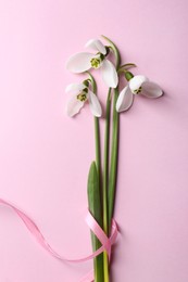 Photo of Beautiful snowdrops on pink background, top view