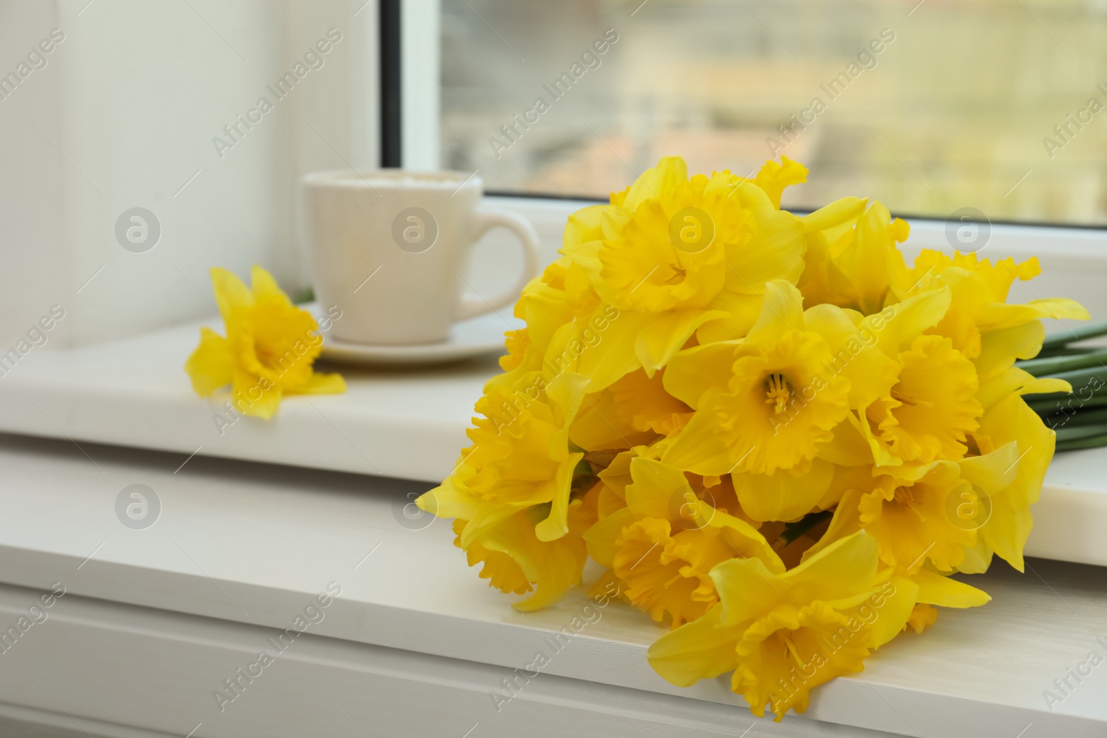 Photo of Bouquet of beautiful daffodils on white windowsill, space for text