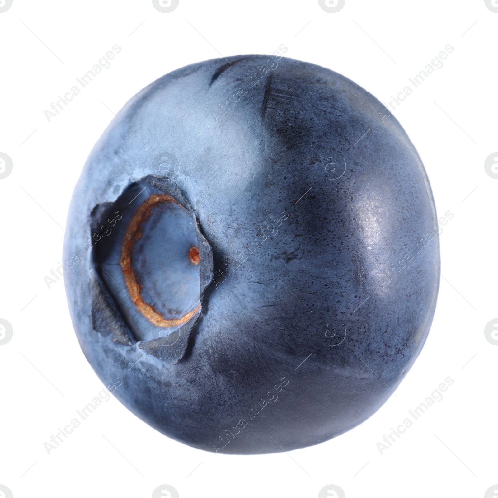 Photo of One fresh ripe blueberry isolated on white