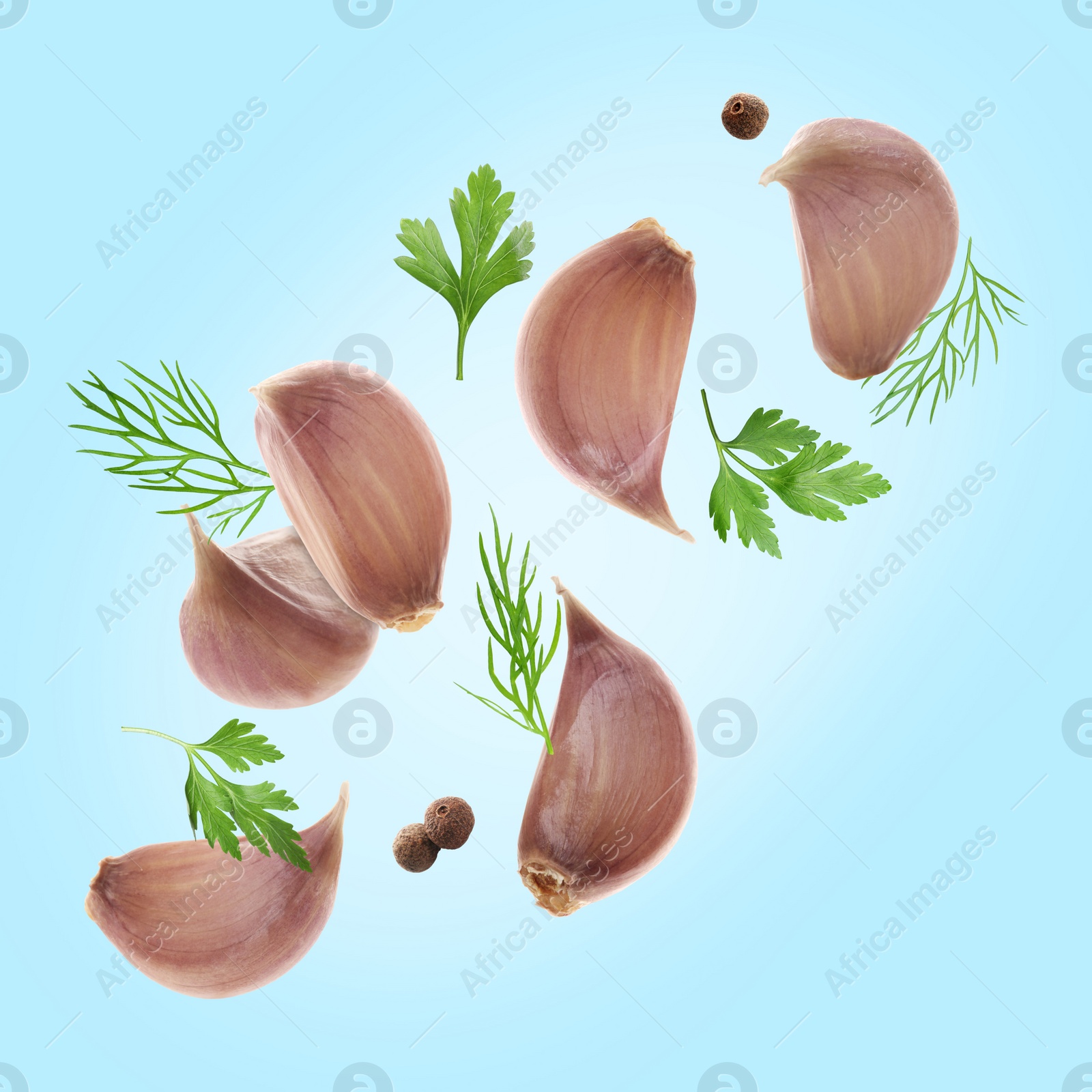 Image of Fresh garlic cloves, parsley, dill and peppercorns falling on light blue background