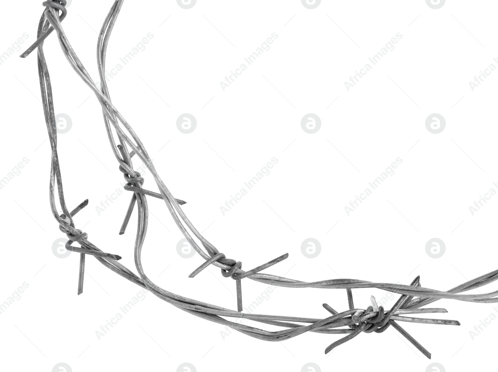 Photo of Shiny metal barbed wire isolated on white